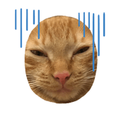 310110051