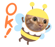 310110067