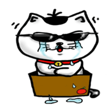 3101560