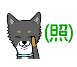 3102102