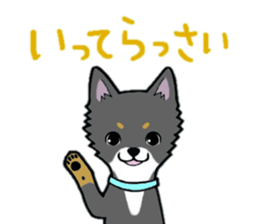 3102113
