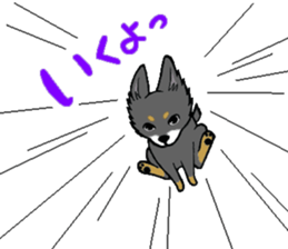 3102114
