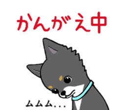 3102120