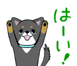 3102121