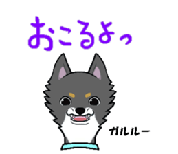3102125