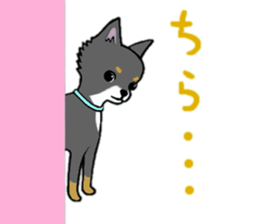 3102128
