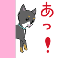 3102129