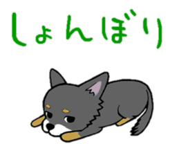 3102135