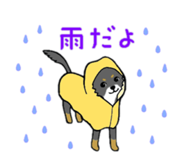 3102136