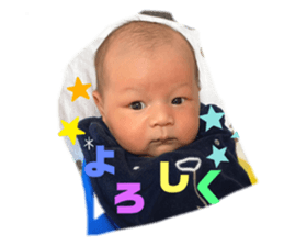310235444