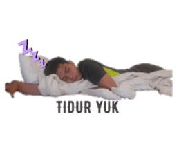 310235556