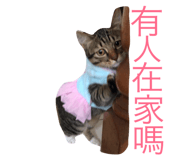 31028232