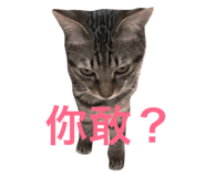 31028236