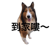 31028239