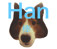 31028240