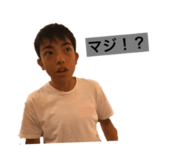 310305990