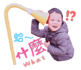 310306522