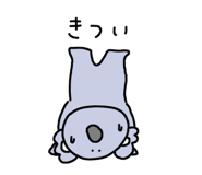 310329684