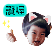 310331633