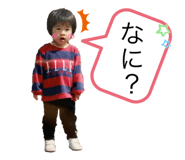 310331637