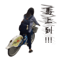 31037079