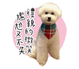 310390015