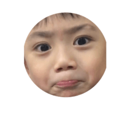 310399465