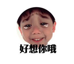 310399477