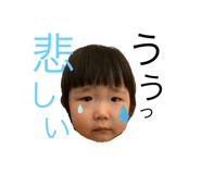 310430521