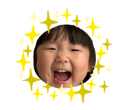 310430523