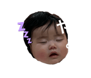 310430524