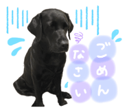 310498678