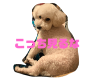 310499846