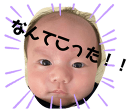 310517610