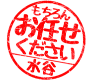 310525485