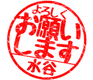 310525487