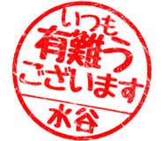 310525490
