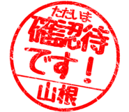 310533237