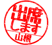 310533247