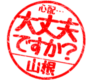 310533250