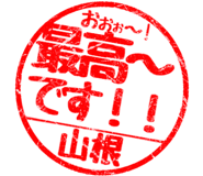 310533251