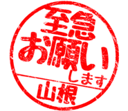 310533256