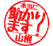 310533259