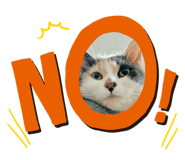 310537744