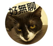 310546390