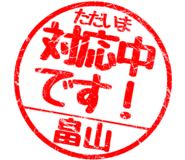 310554561