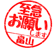310554576