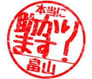 310554579