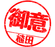 310556081
