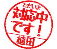 310556089